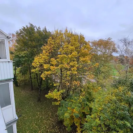 M&m Forest Baltic Klaipėda