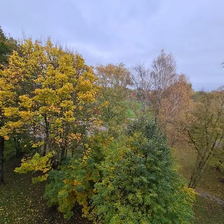 M&m Forest Baltic Klaipėda