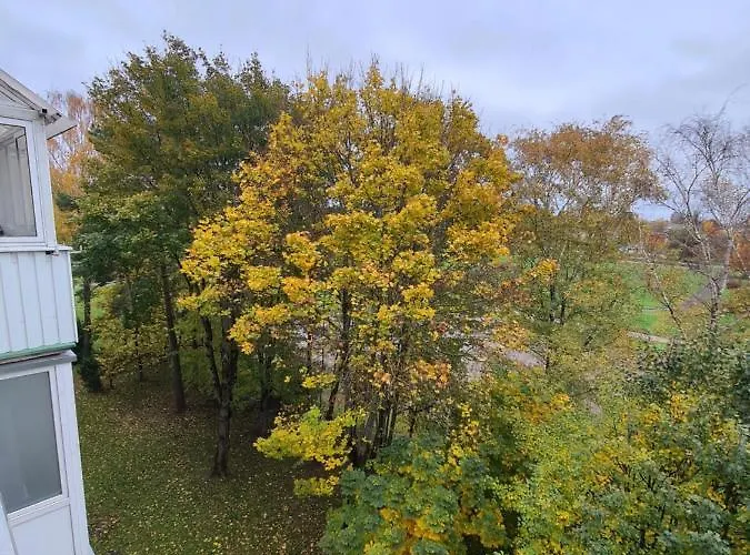 M&m Forest Baltic Klaipėda