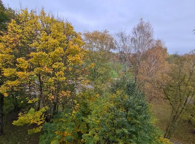 M&m Forest Baltic Klaipėda